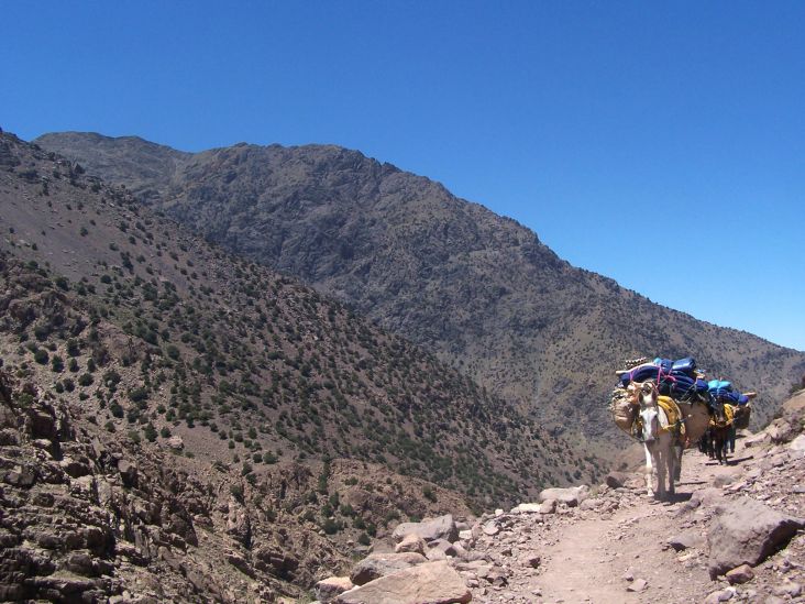 Mt Toubkal Summit Trek and Sahara Desert Tour
