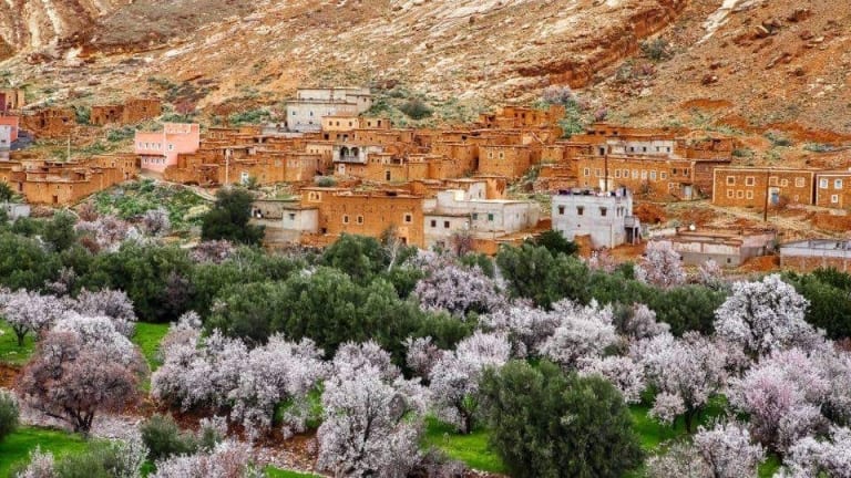 Rose Valley Morocco Festival 2024 - Atlas Trekking Morocco