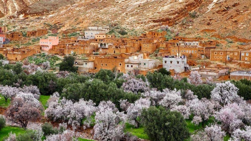 Rose Valley Morocco Festival 2024 Atlas Trekking Morocco