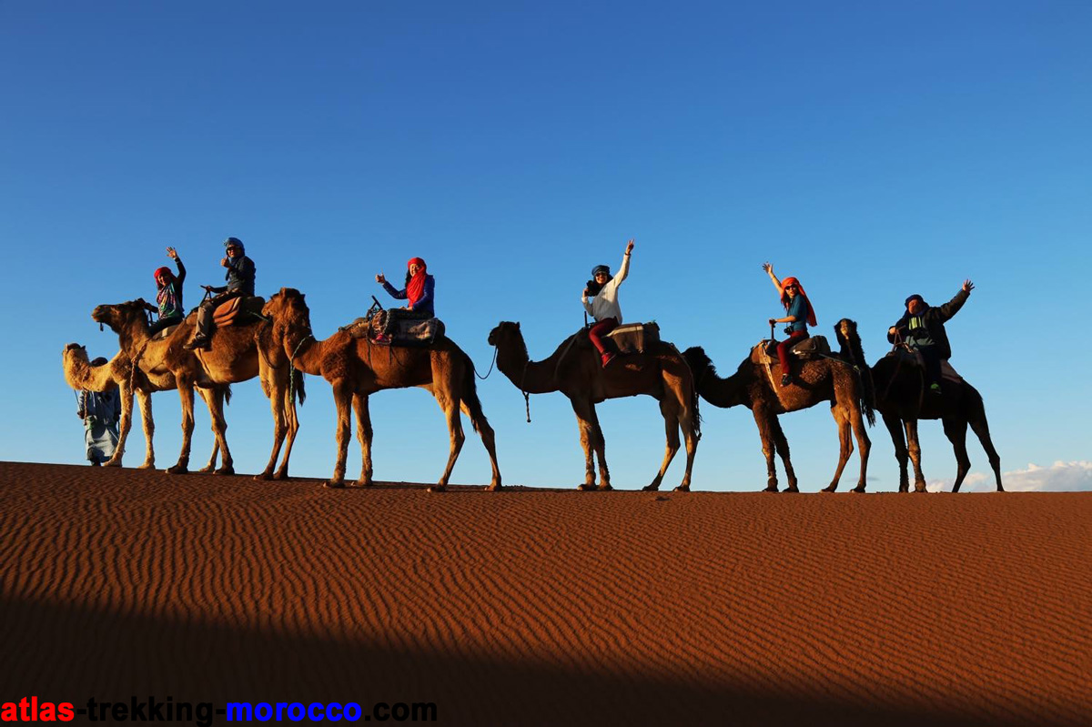luxury sahara-camel-ride-atlas-trekking-morocco