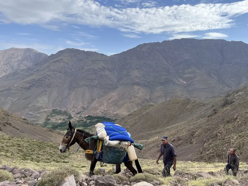 Toubkal summit trek from Marrakech
