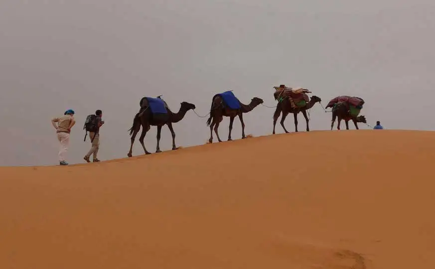 Camel Trekking Morocco Sahara