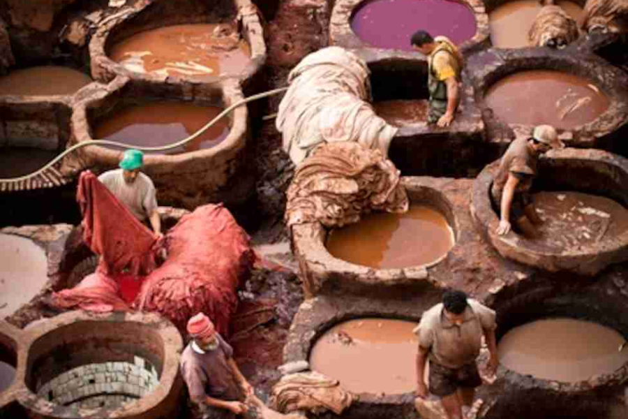 The Chouara Tanneries | Atlas Trekking Morocco